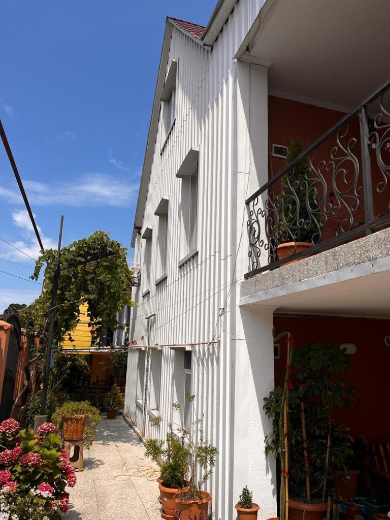 Guest House Chexovi 24 コブレチ エクステリア 写真
