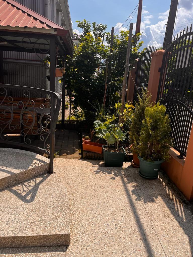 Guest House Chexovi 24 コブレチ エクステリア 写真